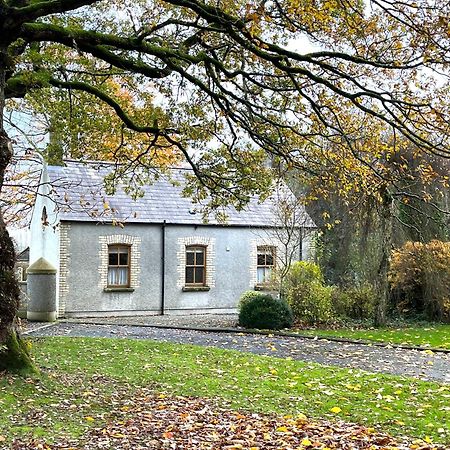 Country Garden House Holiday Homes Ballymoney Dış mekan fotoğraf