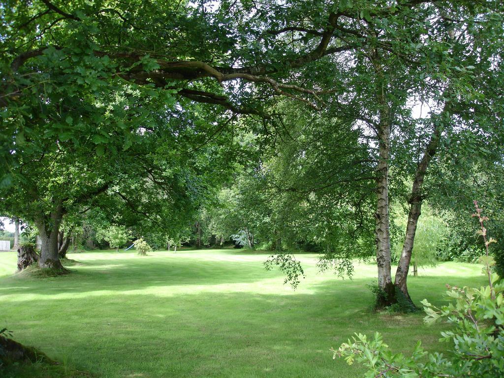 Country Garden House Holiday Homes Ballymoney Dış mekan fotoğraf